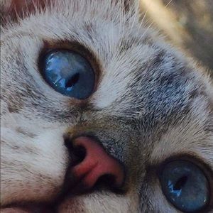 Meet your Posher, Claudia